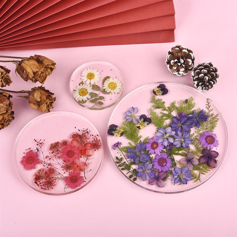 Round Square Rectangle Shape C - Coaster Mold Square review and price